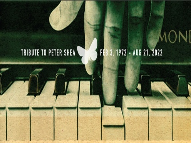 Tribute to Peter Shea